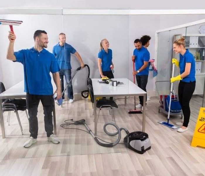 limpieza_profesional_will_life_service